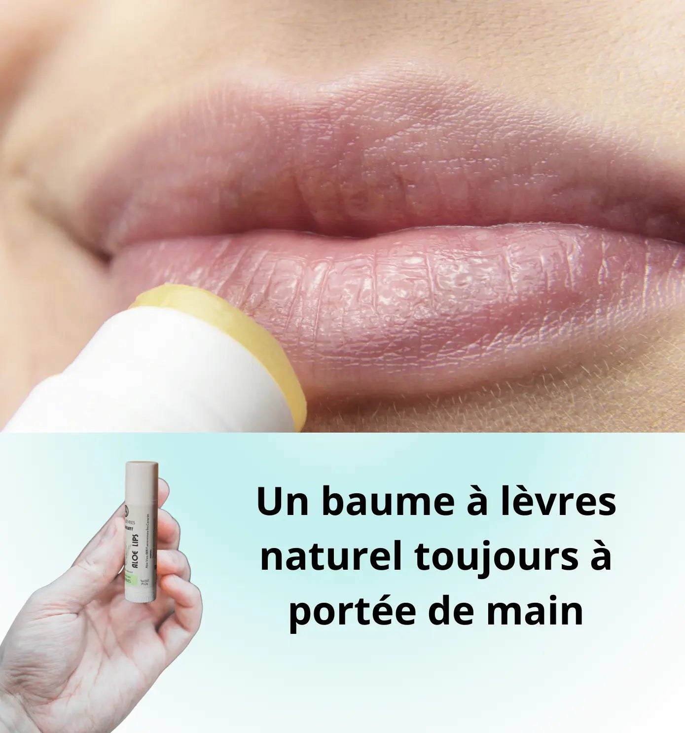 Baume à Lèvres Naturel à l’Aloe Vera