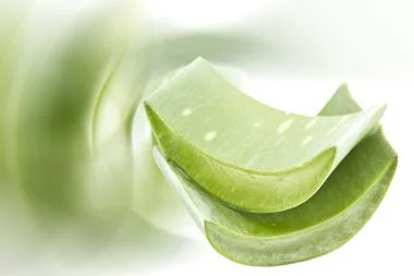 Extrait d'Aloe Vera : un produit, des possibilités infinies