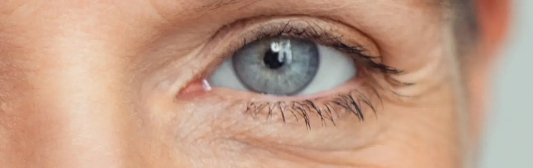 Les Secrets de l’Aloé Vera pour Protéger et Nourrir le Contour des Yeux