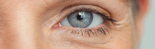 Les Secrets de l’Aloé Vera pour Protéger et Nourrir le Contour des Yeux