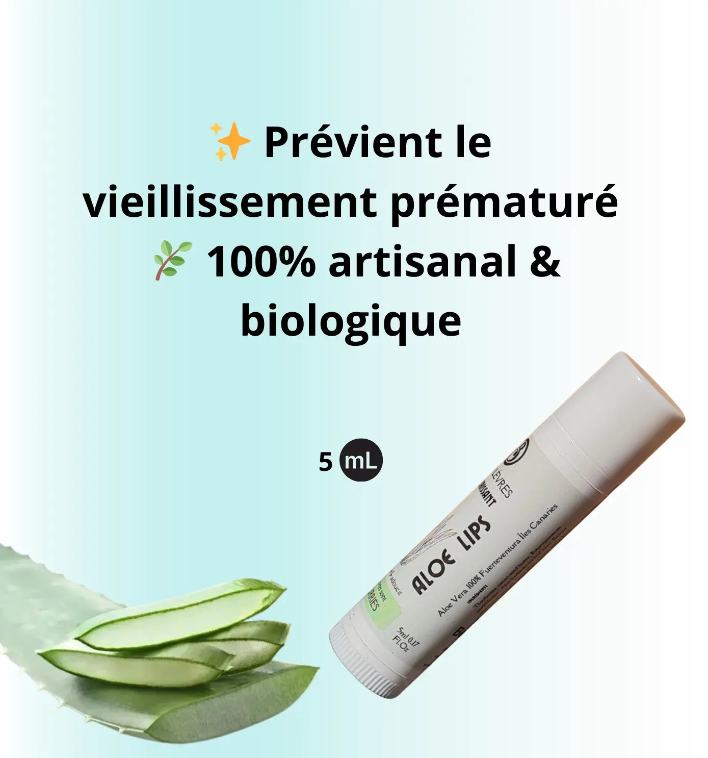 Baume à Lèvres Naturel à l’Aloe Vera